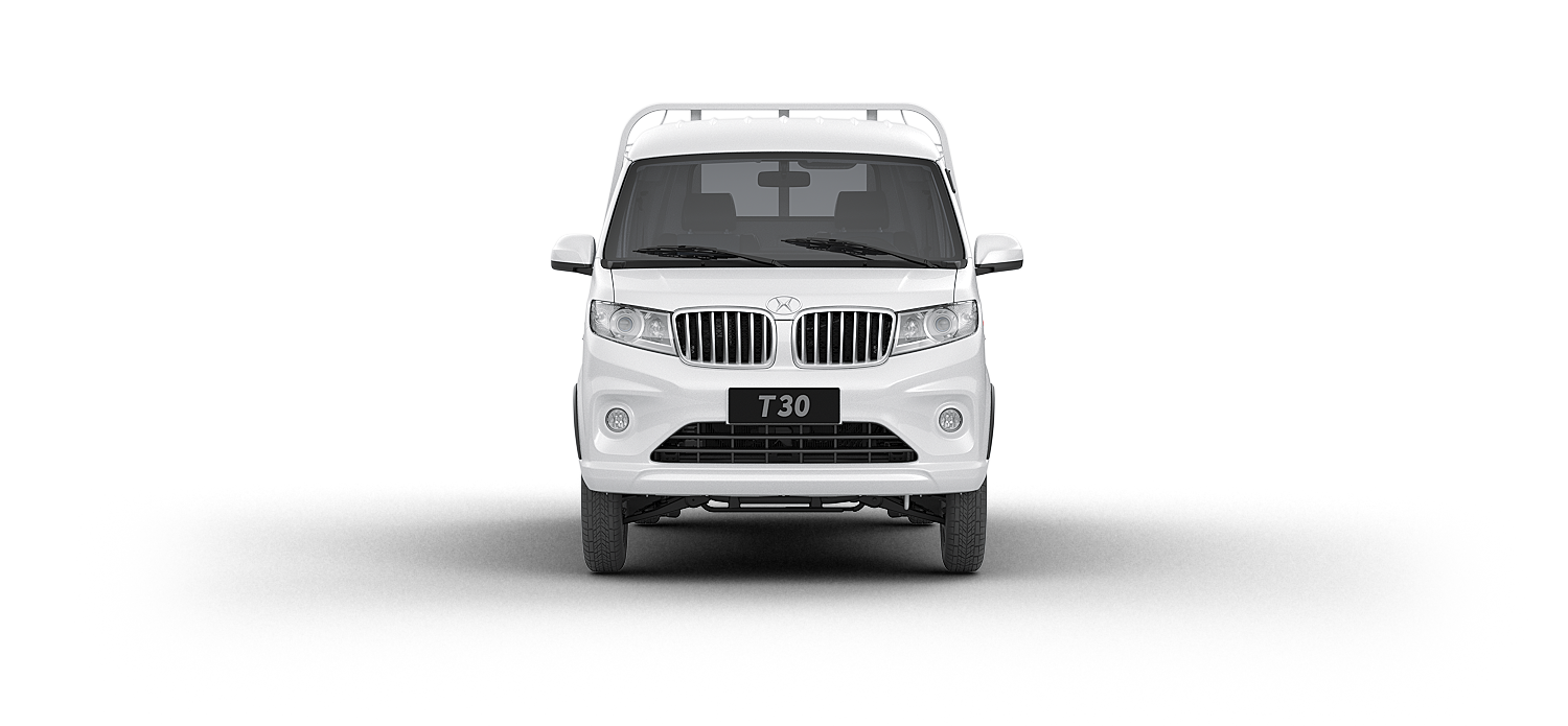 Shineray T30 Vista Frontal