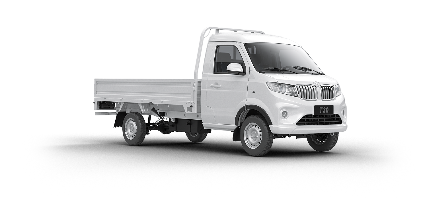 Shineray T30 Vista Trasera