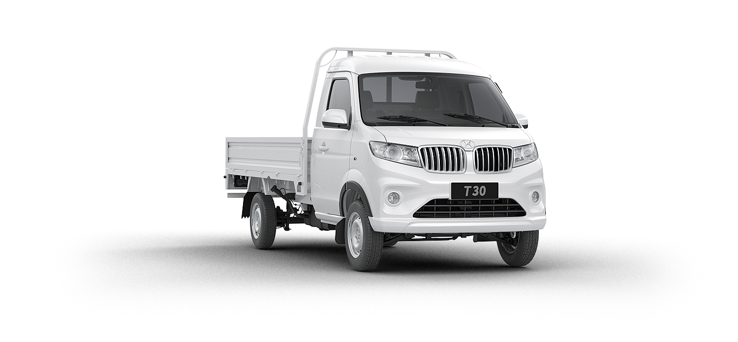 Shineray T30 Vista Trasera