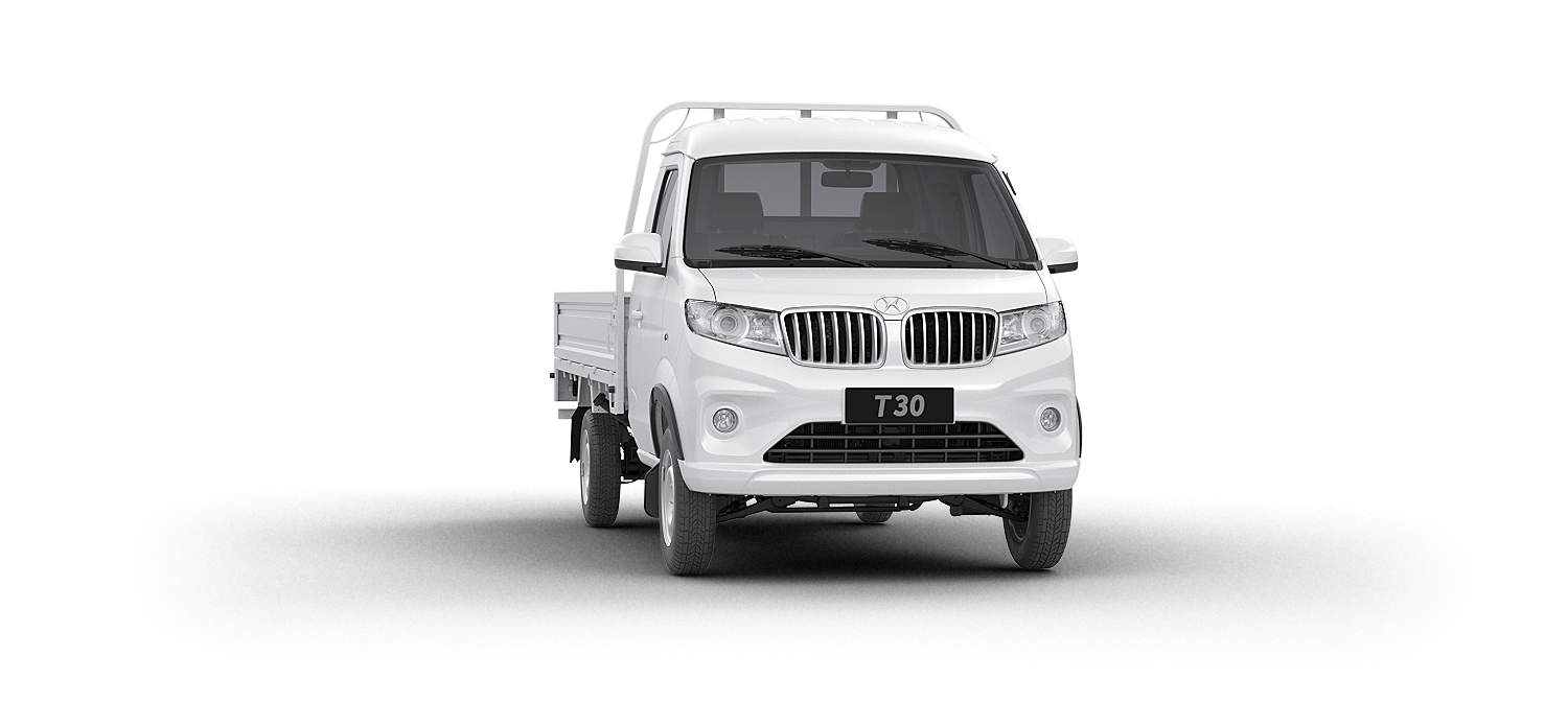 Shineray T30 Vista Trasera