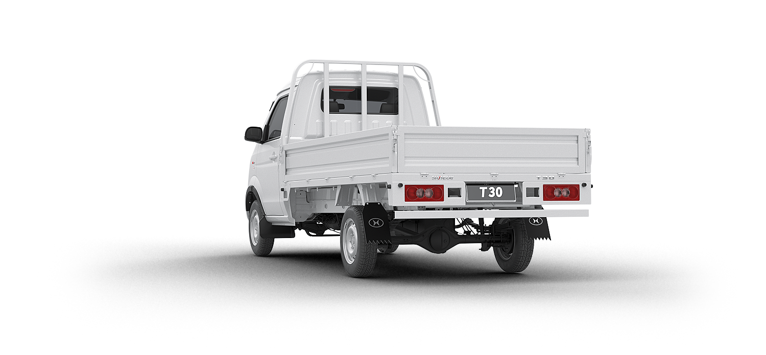 Shineray T30 Vista Trasera