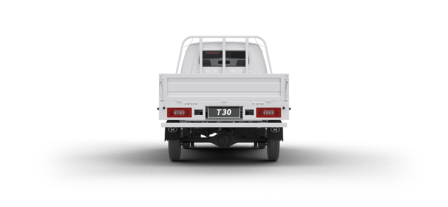 Shineray T30 Vista Trasera