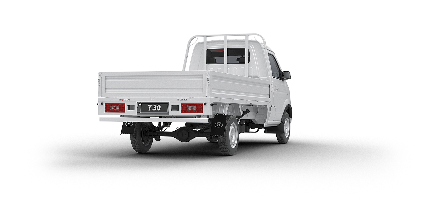 Shineray T30 Vista Trasera