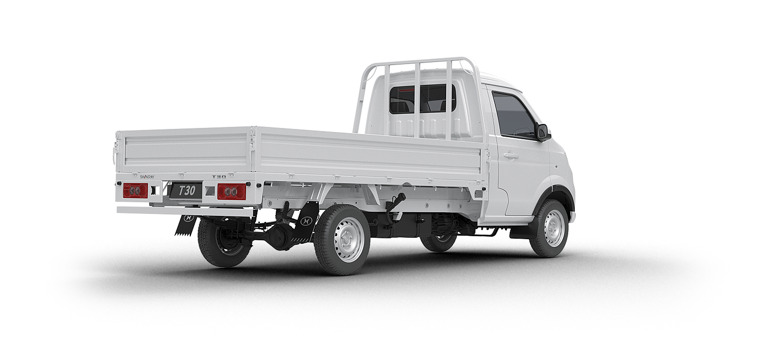 Shineray T30 Vista Trasera